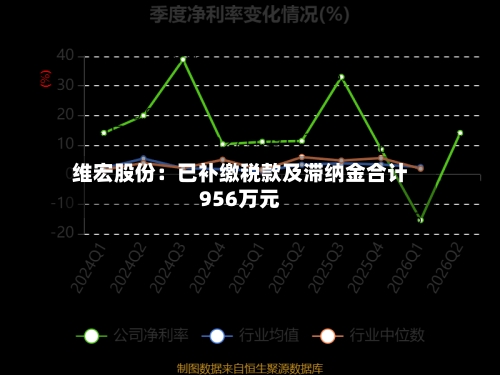维宏股份:已补缴税款及滞纳金合计956万元