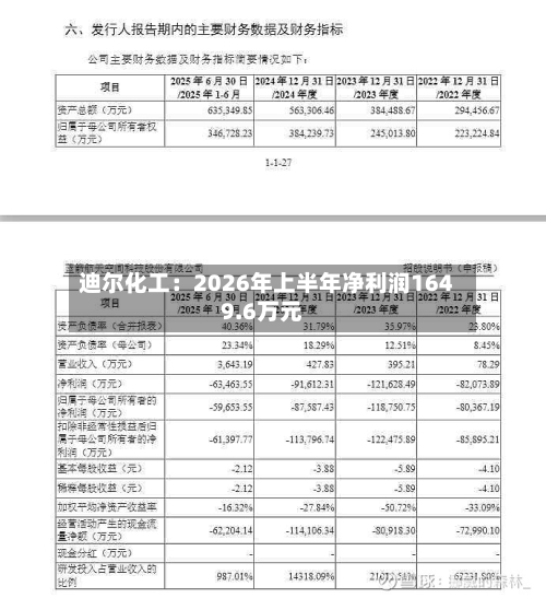 迪尔化工:2026年上半年净利润1649.6万元