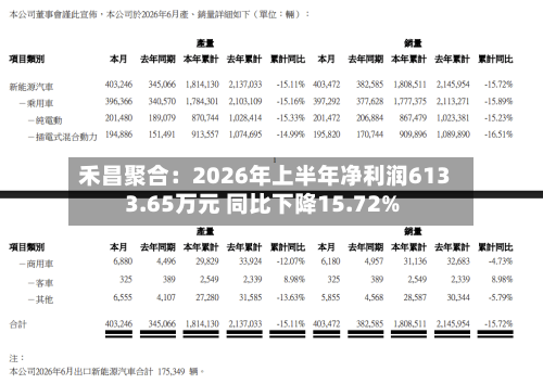 禾昌聚合:2026年上半年净利润6133.65万元 同比下降15.72%