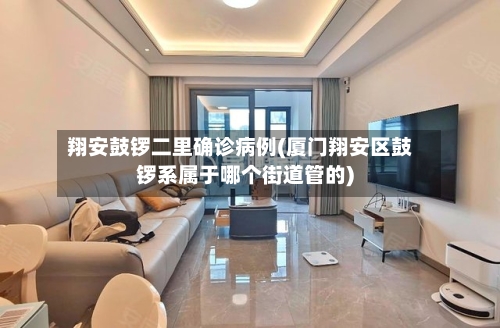 翔安鼓锣二里确诊病例(厦门翔安区鼓锣系属于哪个街道管的)