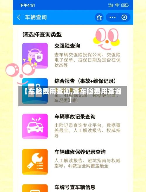 【车险费用查询,查车险费用查询】-第3张图片