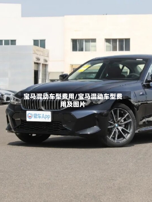 宝马混动车型费用/宝马混动车型费用及图片-第2张图片