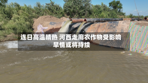 连日高温晴热 河西走廊农作物受影响 旱情或将持续-第2张图片