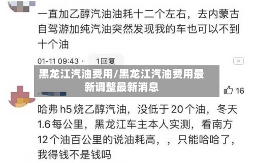 黑龙江汽油费用/黑龙江汽油费用最新调整最新消息-第2张图片