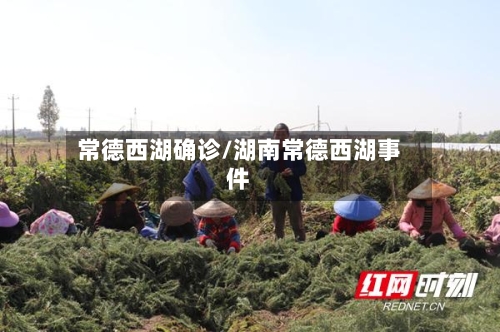 常德西湖确诊/湖南常德西湖事件-第2张图片