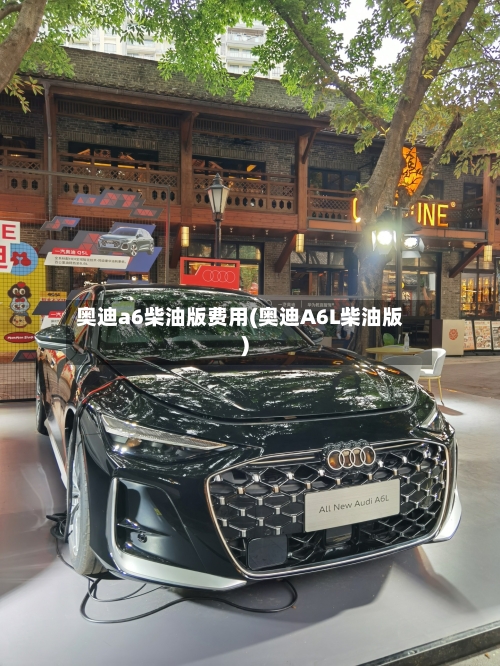 奥迪a6柴油版费用(奥迪A6L柴油版)-第2张图片