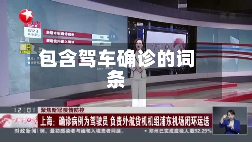 包含驾车确诊的词条-第2张图片