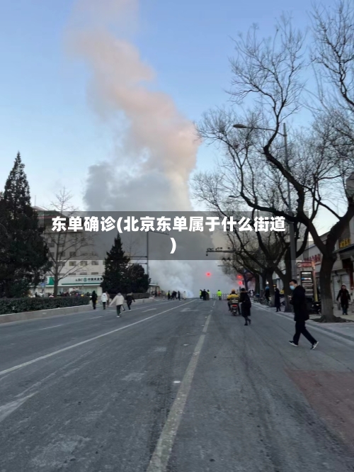 东单确诊(北京东单属于什么街道)-第2张图片