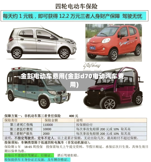 金彭电动车费用(金彭d70电动汽车费用)-第2张图片