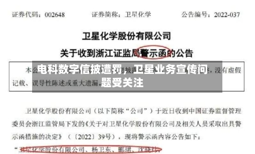 电科数字信披遭罚	，卫星业务宣传问题受关注-第2张图片