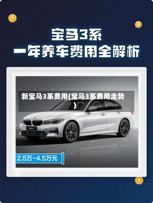 新宝马3系费用(宝马3系费用走势)-第3张图片