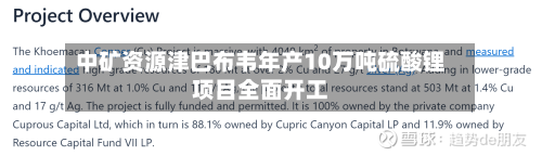 中矿资源津巴布韦年产10万吨硫酸锂项目全面开工-第2张图片