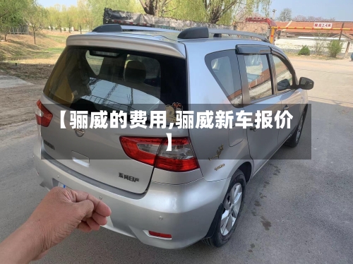 【骊威的费用,骊威新车报价】-第2张图片