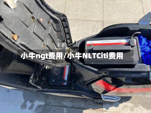 小牛ngt费用/小牛NLTCiti费用