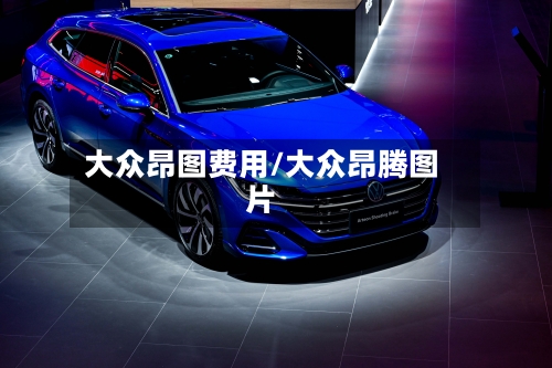 大众昂图费用/大众昂腾图片