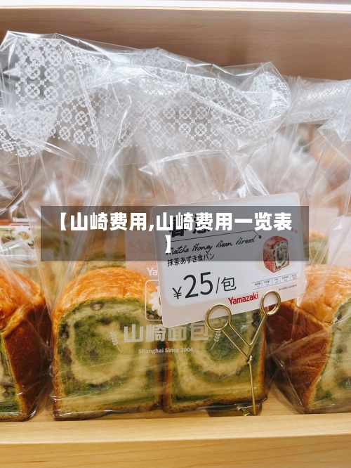 【山崎费用,山崎费用一览表】-第2张图片