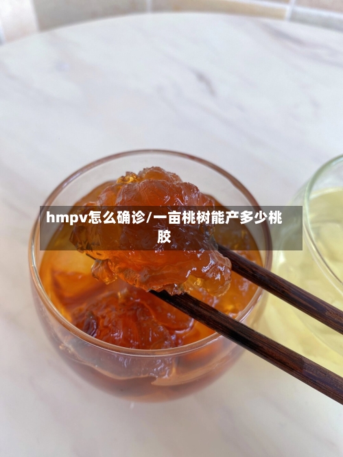 hmpv怎么确诊/一亩桃树能产多少桃胶