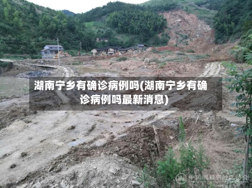 湖南宁乡有确诊病例吗(湖南宁乡有确诊病例吗最新消息)