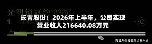 长青股份：2026年上半年，公司实现营业收入216640.08万元-第2张图片