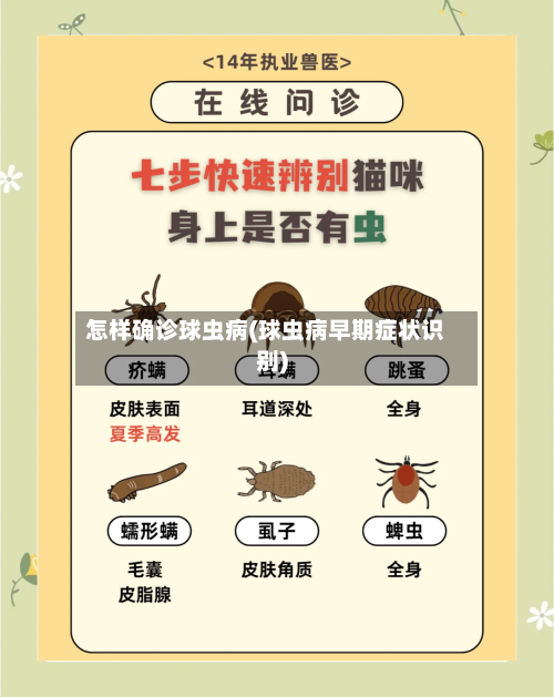 怎样确诊球虫病(球虫病早期症状识别)