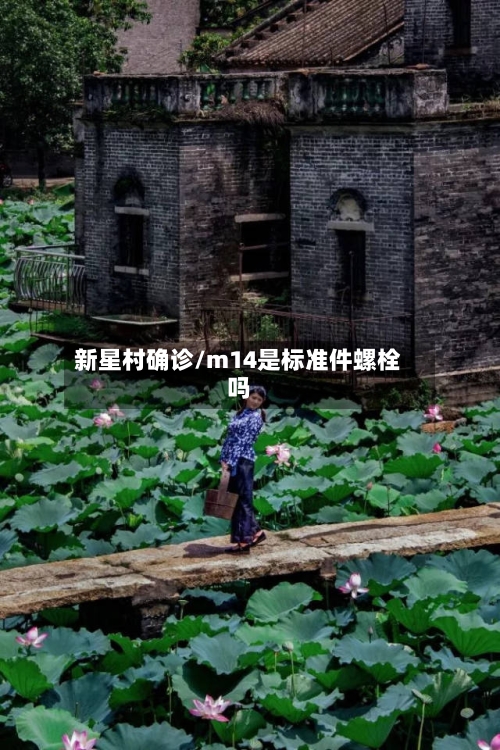新星村确诊/m14是标准件螺栓吗-第2张图片