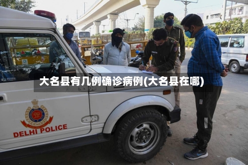 大名县有几例确诊病例(大名县在哪)-第3张图片