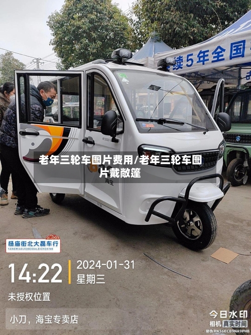 老年三轮车图片费用/老年三轮车图片戴敞篷-第2张图片