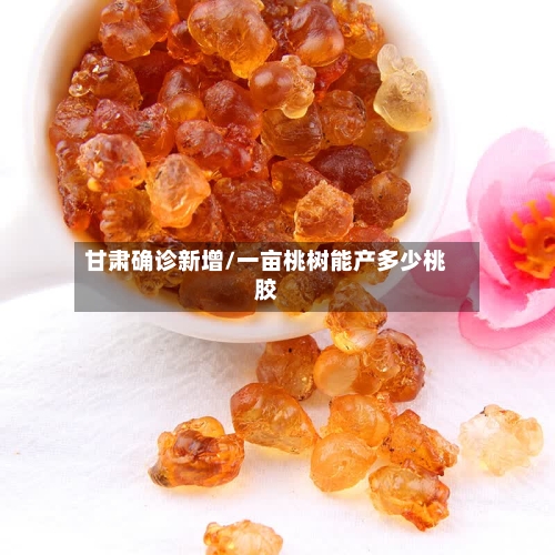 甘肃确诊新增/一亩桃树能产多少桃胶