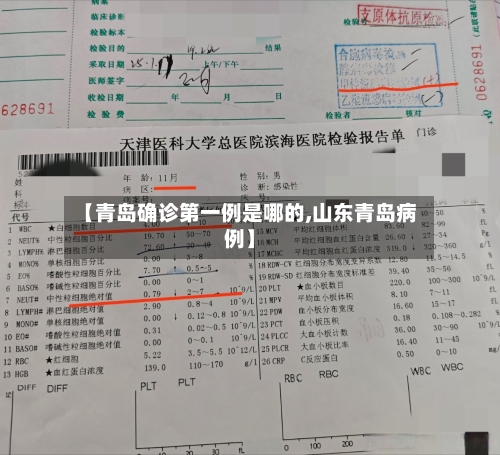 【青岛确诊第一例是哪的,山东青岛病例】