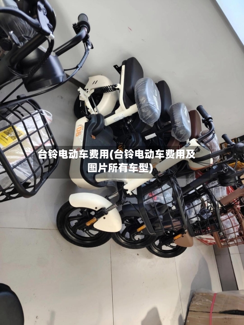 台铃电动车费用(台铃电动车费用及图片所有车型)-第2张图片