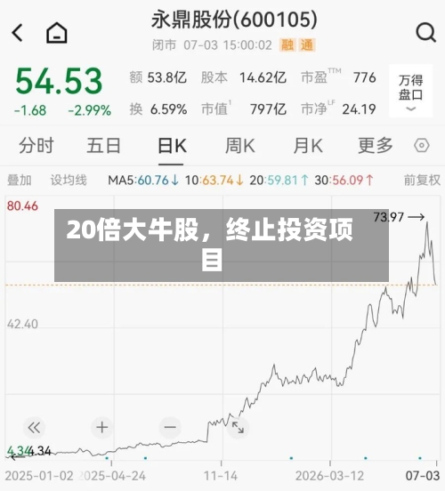 20倍大牛股，终止投资项目-第1张图片