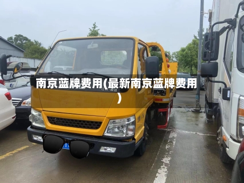 南京蓝牌费用(最新南京蓝牌费用)-第3张图片