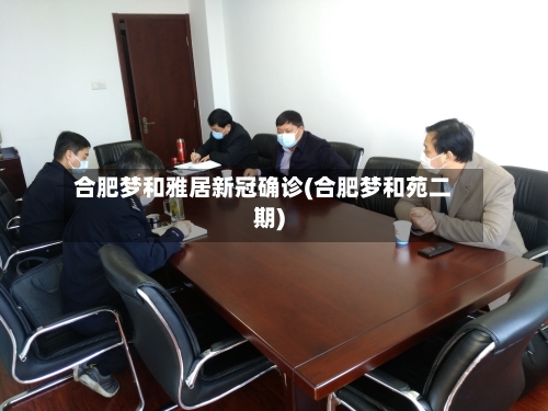 合肥梦和雅居新冠确诊(合肥梦和苑二期)