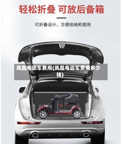 凤凰电动车费用(凤凰电动车费用多少钱)-第3张图片