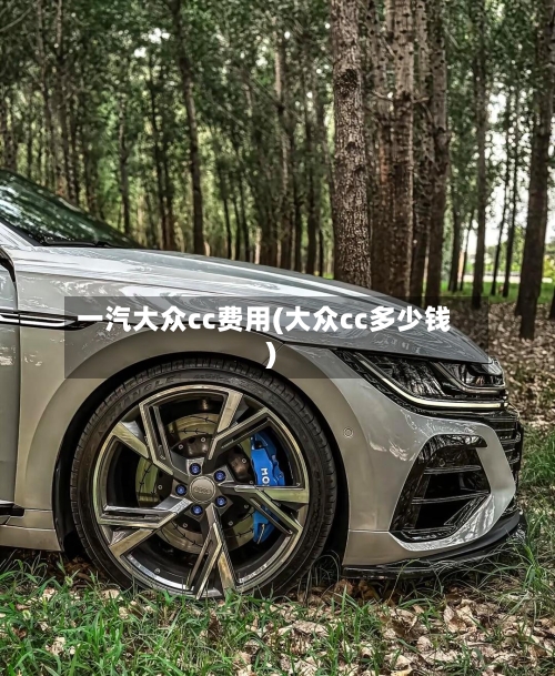 一汽大众cc费用(大众cc多少钱)