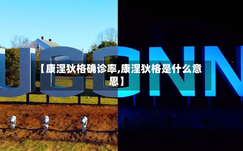 【康涅狄格确诊率,康涅狄格是什么意思】-第3张图片