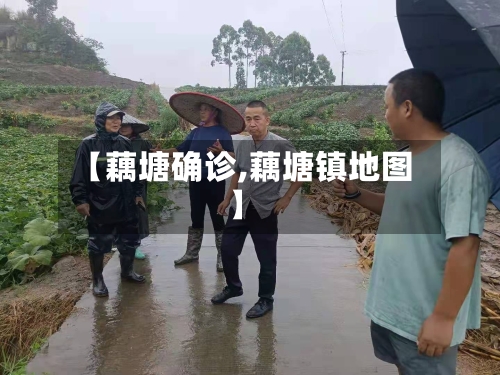 【藕塘确诊,藕塘镇地图】-第2张图片