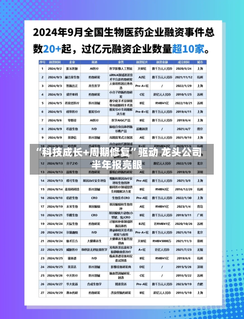 “科技成长+周期修复”驱动 龙头公司半年报亮眼