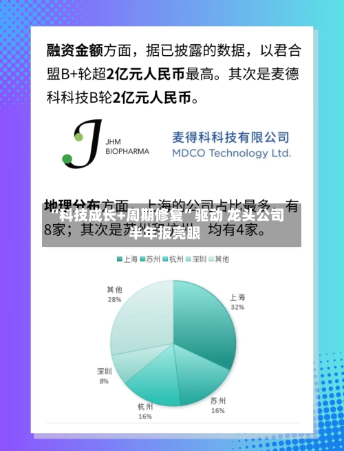 “科技成长+周期修复	”驱动 龙头公司半年报亮眼-第2张图片
