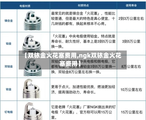 【双铱金火花塞费用,ngk双铱金火花塞费用】