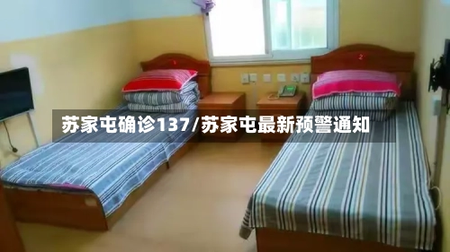 苏家屯确诊137/苏家屯最新预警通知-第3张图片