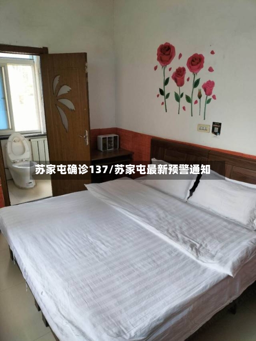 苏家屯确诊137/苏家屯最新预警通知-第2张图片