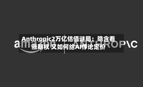 Anthropic2万亿估值谜局：隐含看涨期权 又如何给AI悖论定价-第2张图片