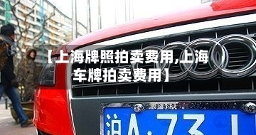 【上海牌照拍卖费用,上海车牌拍卖费用】