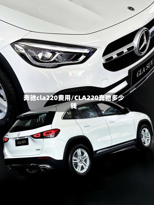 奔驰cla220费用/CLA220奔弛多少钱-第2张图片