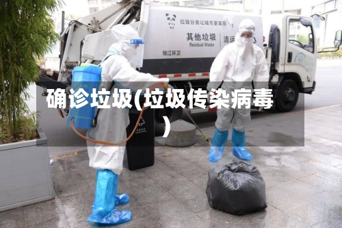 确诊垃圾(垃圾传染病毒)-第3张图片