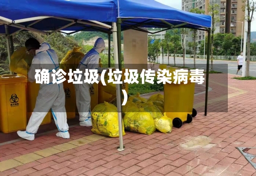 确诊垃圾(垃圾传染病毒)
