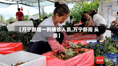 【万宁新增一例确诊人员,万宁新闻 头条】-第2张图片