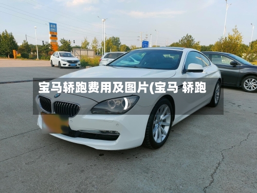 宝马轿跑费用及图片(宝马 轿跑)-第2张图片