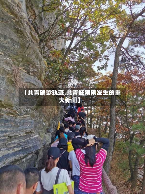 【共青确诊轨迹,共青城刚刚发生的重大新闻】-第2张图片